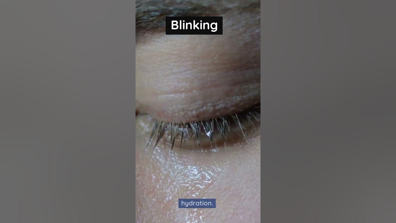 Biology Fact - How Often Do We Blink? #short - YouTube