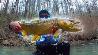 UNBELIEVABLE GIANT TROUT CATCH IN A TINY CREEK!