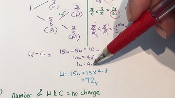 Tao Nan P5 2016 SA2 P2 Q17 Branching Actual fraction / More than