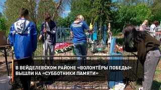 В Вейделевском Районе «Волонтёры Победы» Вышли На «Субботники Памяти»