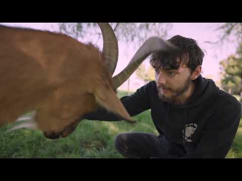 UPK Basel â das sind wir.