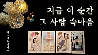 [타로 속마음] 지금 이 순간 그 사람 속마음 (짝사랑 썸 커플 재회)