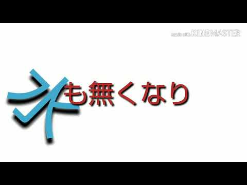 【東方PV】あの夏が飽和する