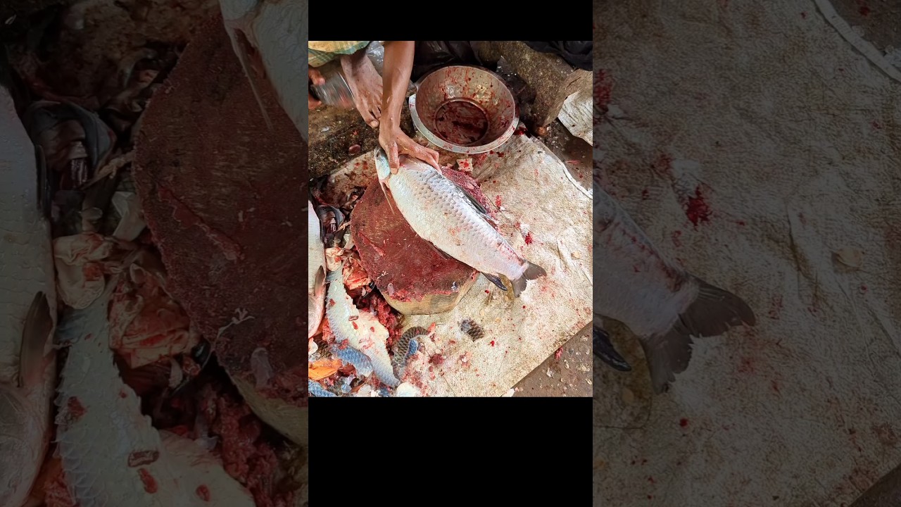 Clean Rohu Fish Preparation 🔪 | Real Skill 