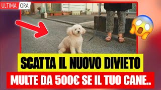 Download Lagu 🔴⚠️attenzione, da domani cambia tutto: scatta il nuovo divieto, multa da 500€: il cane non può più.. MP3