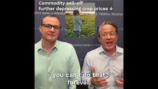 Minneapolis Fed Beige Book Briefing, July 2026