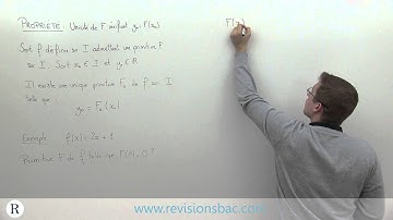 [RévisionsBac.com] - Unique primitive prenant la valeur y0 en x0