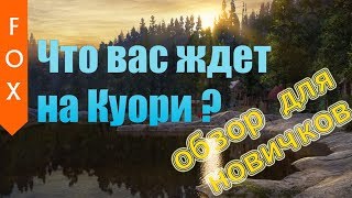 : .  ,  ?