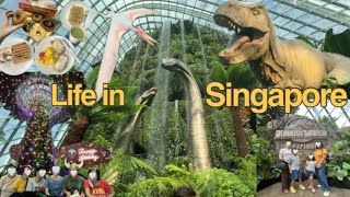 Life in Singapore🇸🇬| My gap months’ diaries, fun in Jurassic World and Gardens by the Bay with fam 🌃