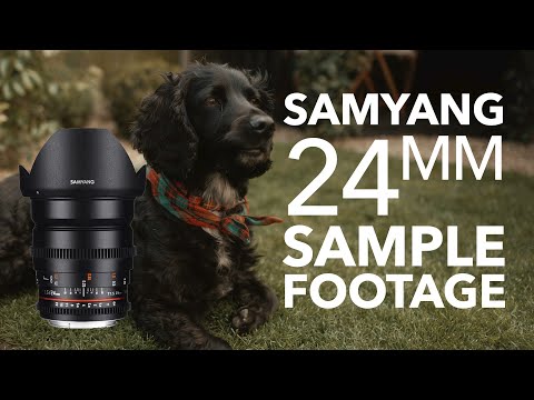 Samyang Rokinon 24mm T1.5 Cine Lens Sample Footage [LUMIX S1 V-Log, DJI RS2, 3D Focus System]