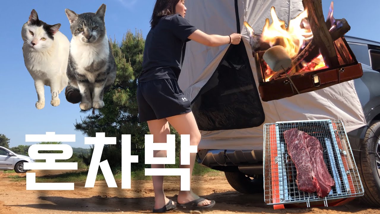 인생 첫 차박 도전 