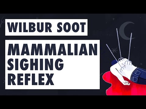 Wilbur Soot - Mammalian Sighing Reflex (FULL ALBUM LYRICS)