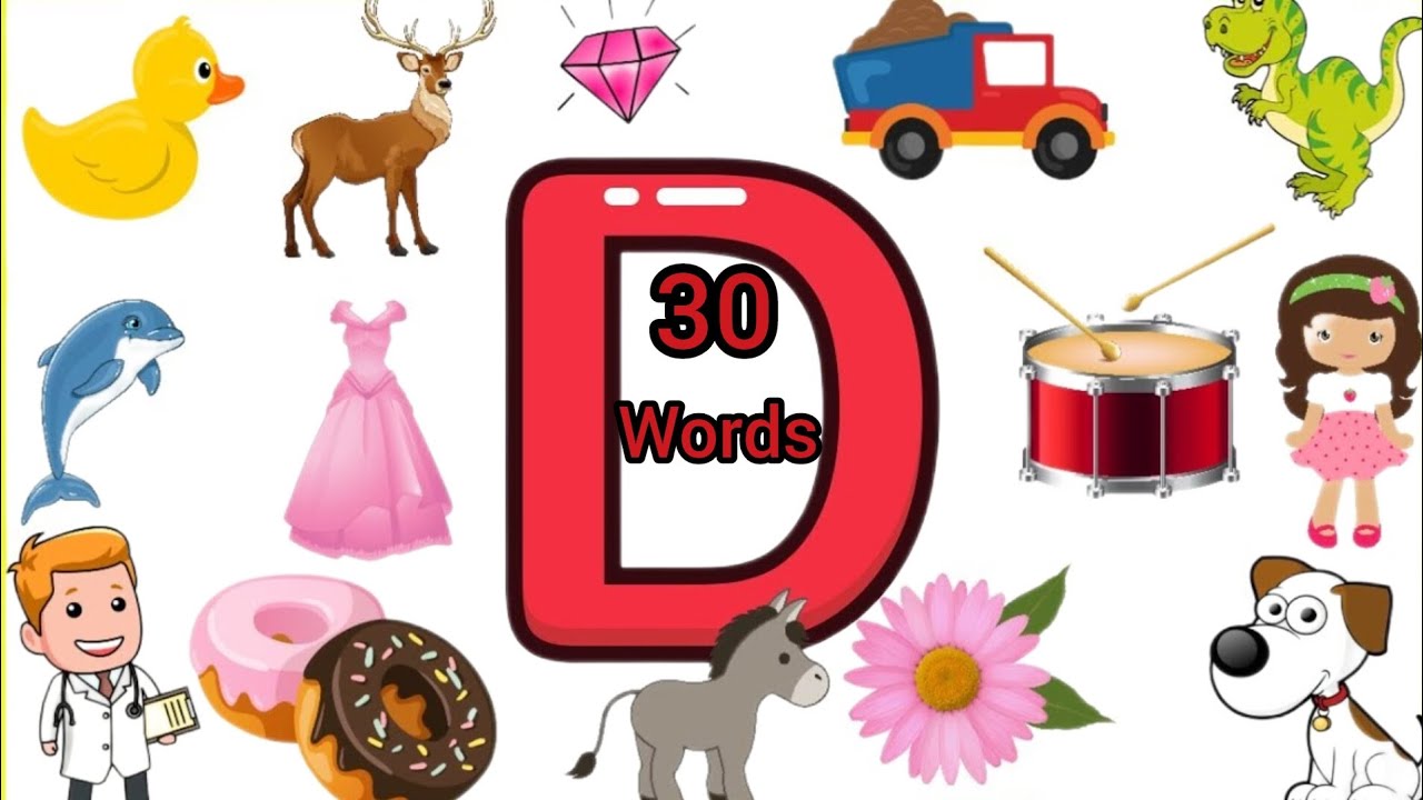 letter Dthings that begins with alphabet Dwords start with D objects