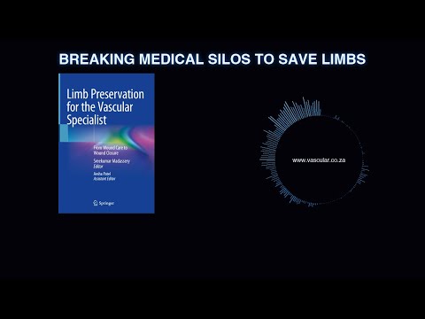 LPVS - 00 - Preface - Breaking Medical Silos to Save Limbs - Deep Dive Podcast