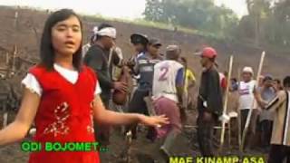 Lagu Dayak Sekadau Kalimantan Barat- Bosurongk Dayongk (Vokal : Febby)