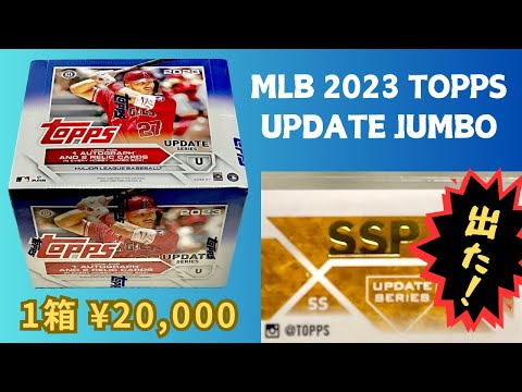 【2/18限定値下げ】エスクプス 2024 birthday BOX バパケ 傑作! MT-09/SP 2024用 SP忠男マフラーPOWERBOX FULL RS