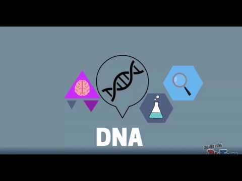 Vídeo: Os Médicos Britânicos Tiveram Permissão Para Criar Crianças Usando DNA De Três Pessoas - Visão Alternativa