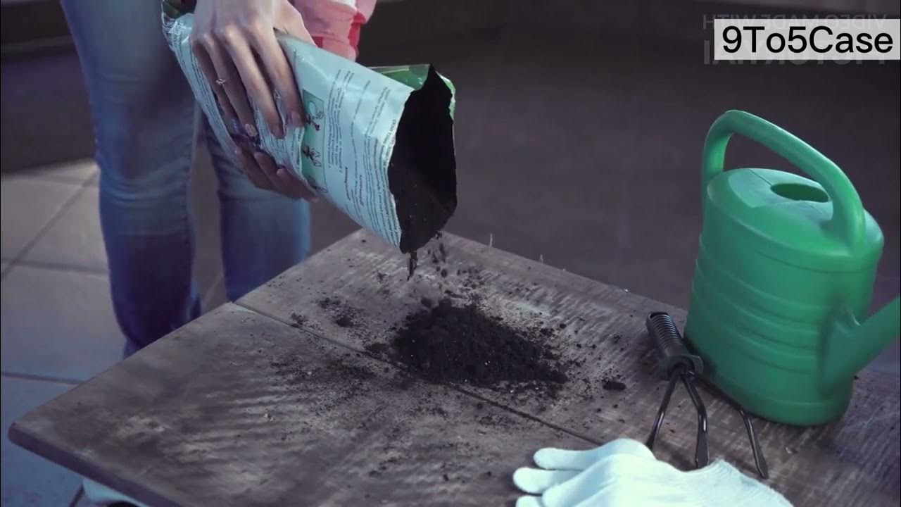 How long do biodegradable phone cases last? YouTube