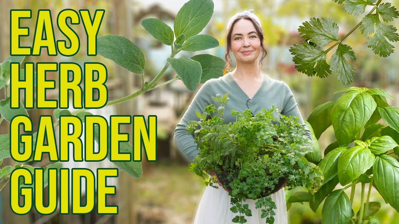 ミュージシャン HERB GARDEN Herb Garden for Beginners - YouTube