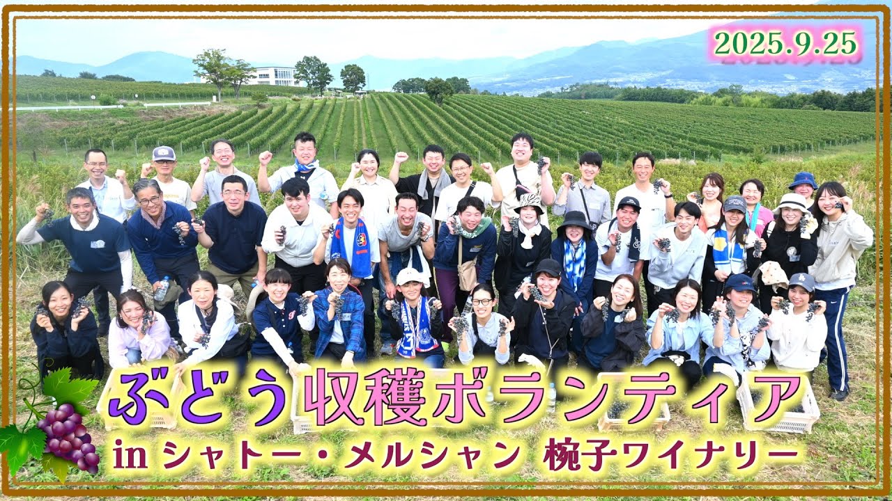 ぶどう収穫ボランティア  inシャトー・メルシャン 椀子ワイナリー