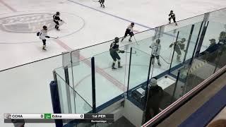 2020-21 CCHA PWAA vs Edina - January 17 2021
