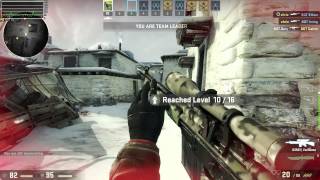 csgo monastery radeonsi native linux