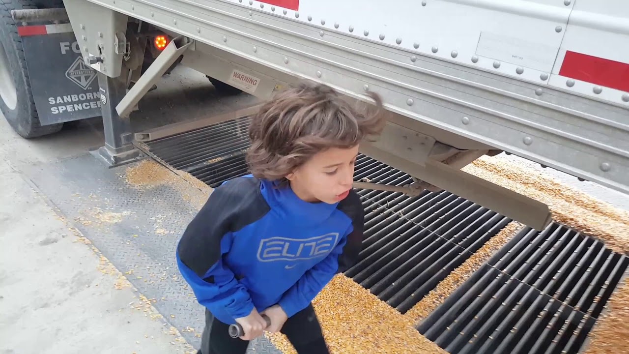 Unloading The Semi Load Of Corn