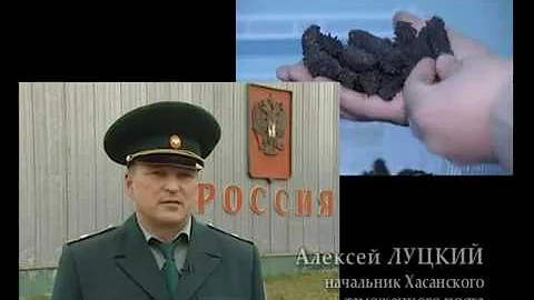 Трепанг. Обратный отсчёт .