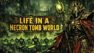 What Is Life Like Inside A Necron Tomb World In Warhammer 40K ?