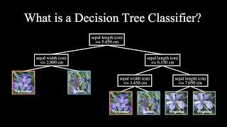 What is a Decision Tree Classifier