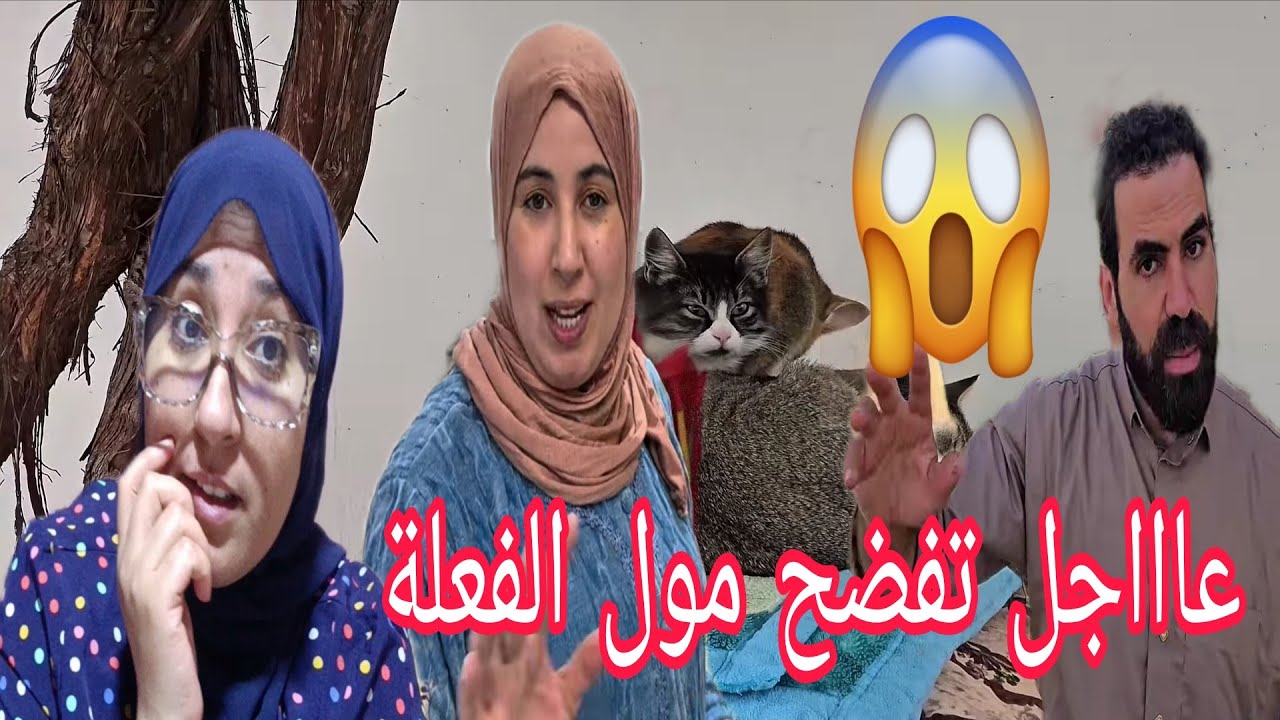 عاااجل جداا دخول الشرطة في القضية القط ديال حميمو وصاحب الفعلة سلم راسو وشكون هو😱