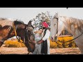 Latest pre wedding film  gurwinder  ravneet  satinder studio apra m7696889330