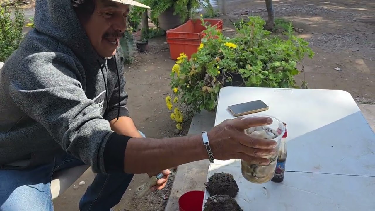 @ElGatoParadoOficial perdimos la propela y después de dias fuimos a pescar