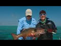 Ifishtv mother shipping bligh reef queensland