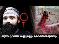 കൈ മുറിഞ്ഞു ഗുയ്‌സ് 😰 | ഇപ്പോ എന്നെ കടിച്ചേനെ