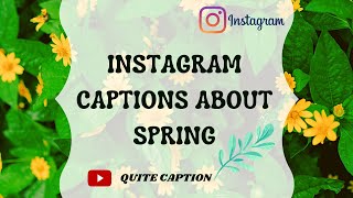 Instagram Captions About Spring || Spring Captions For Instagram || Spring Instagram Captions