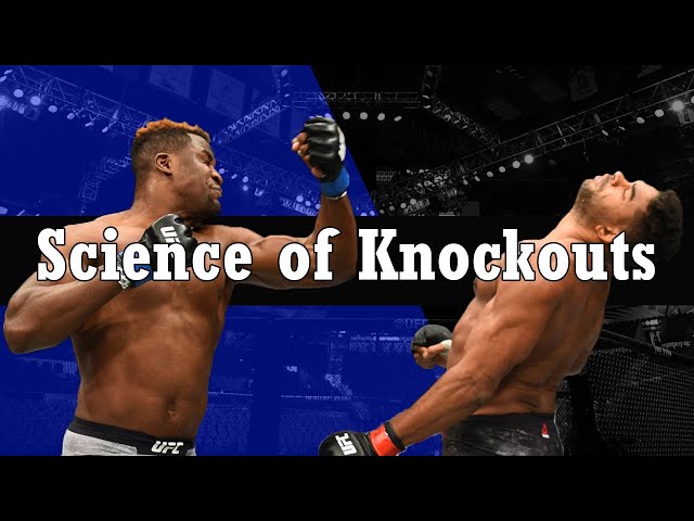 Scientist - Knock Out