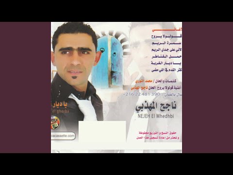 Lani Aala Jadi El Rim