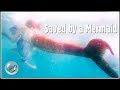 Life as a Mermaid ▷ "Saved by a Mermaid" - Stanley's Story (Bonus Episode)