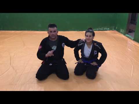 Meia guarda / haf guard