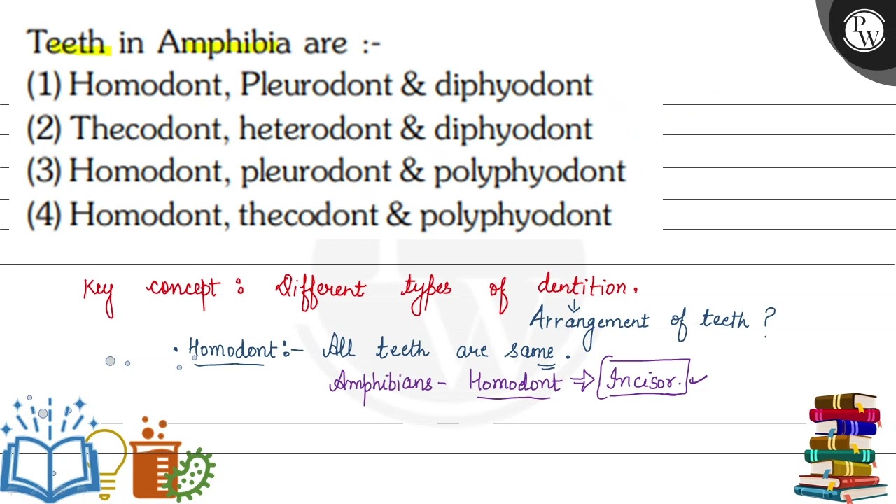 Teeth in Amphibia are :-
(1) Homodont, Pleurodont \& diphyodont
(2)...