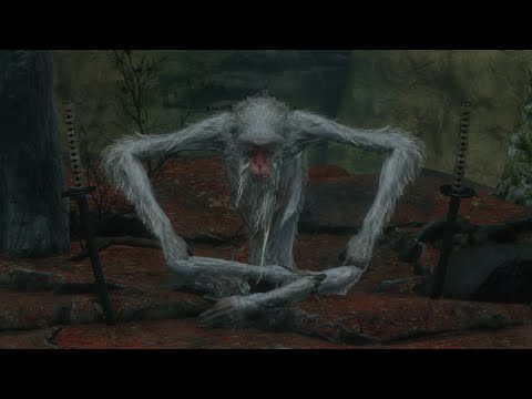 Sekiro - True