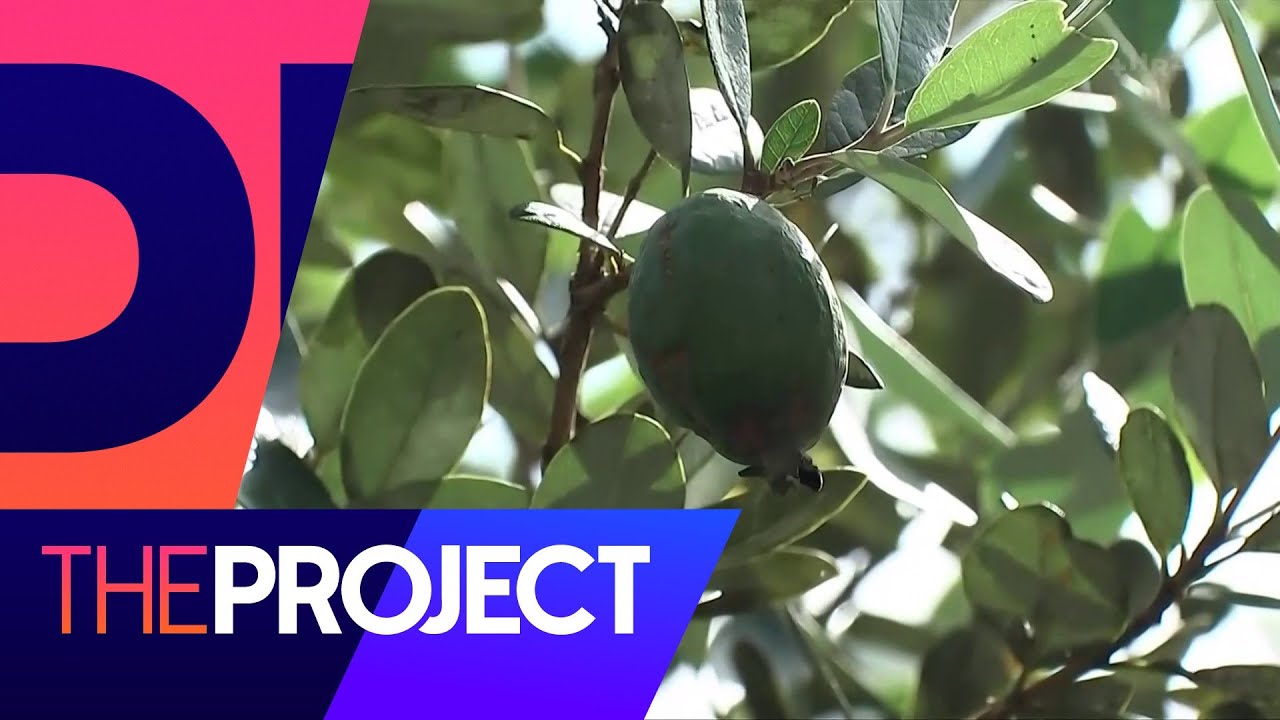 How to get creative with all those feijoas | The Project NZ