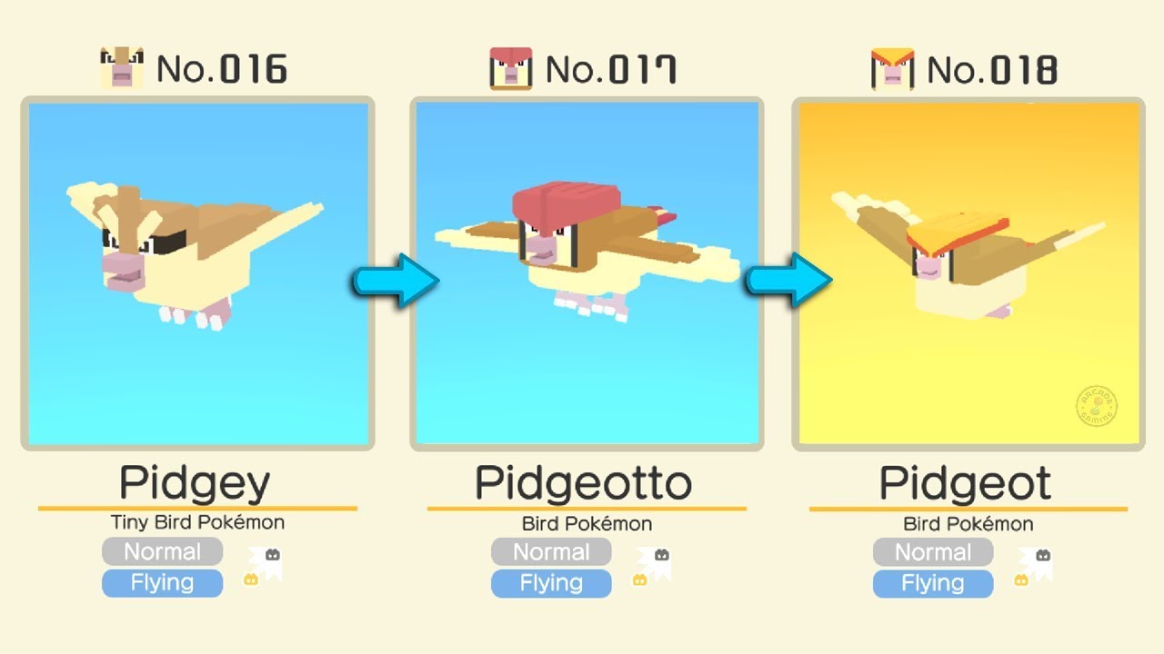 Pidgey Evolution Chart