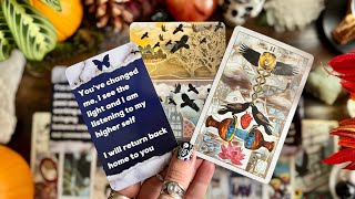 Youve Been On Different Paths, But They Are Meant To Realign Timeless Reading