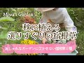 ガーデニング🌺【秋に植えたい!おすすめ宿根草】購入苗の紹介とチューリップを上手に咲かせるコツ/おしゃれな庭づくり