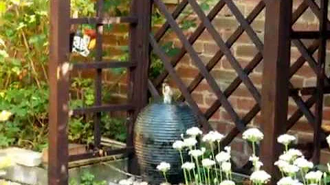 Sparrows enjoying my Garden Water Feature ...