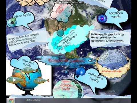 პოსტერი \"მსოფლიო ოკეანე\"