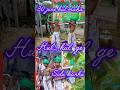30 June Hul Maha //Sidhu Khanu //Santali new video #viralvideo #santali #newsantali //rama hsnsdah