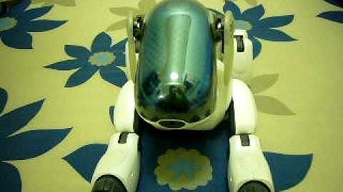 AIBO ERS-7M3 Just New Born
